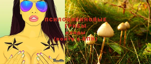 ГАЛЛЮЦИНОГЕННЫЕ ГРИБЫ Алзамай