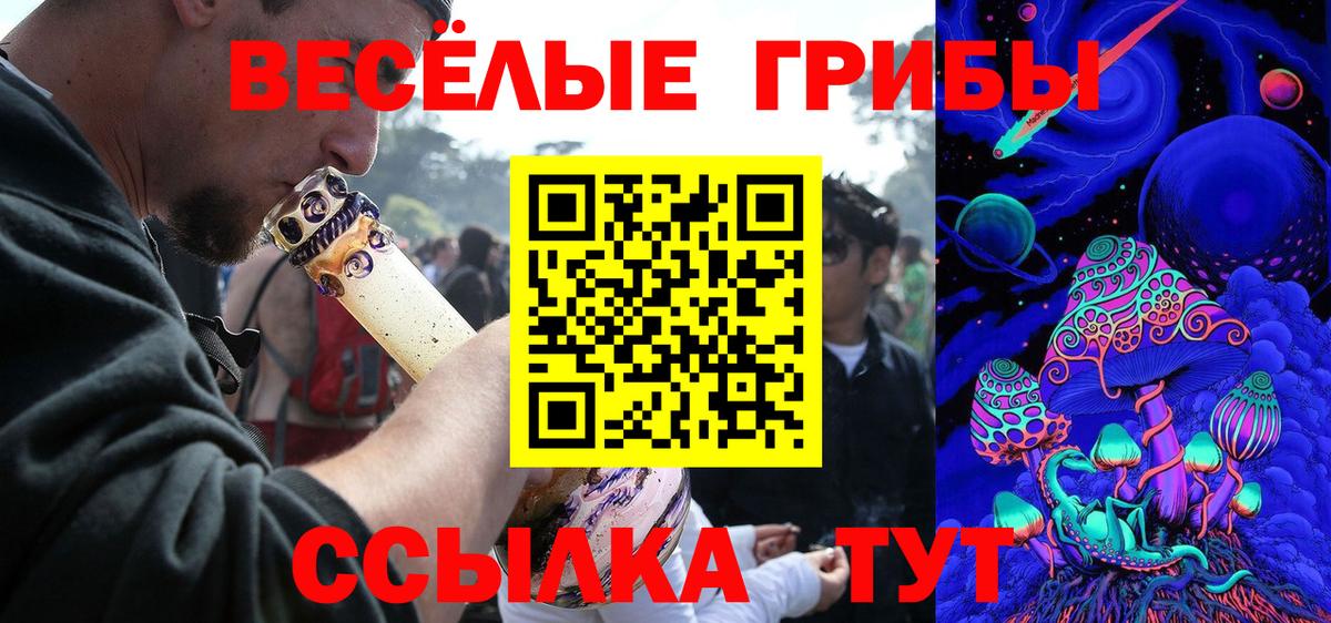 Галлюциногенные грибы Psilocybe Куйбышев